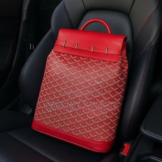 Quality Goyard Backpack · Photo 1