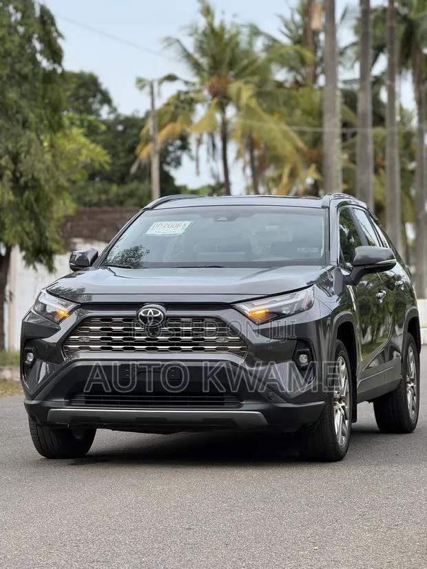 Toyota RAV4 Limited AWD 2023 Gray · Photo 1