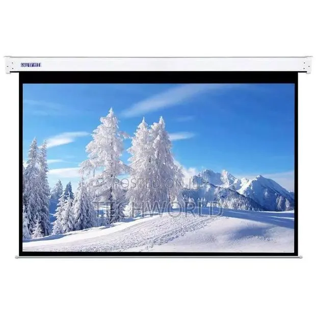 200cm X 200cm Electric Projection Screen · Photo 1
