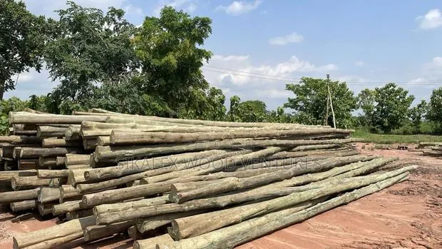 Electric Poles · Photo 1