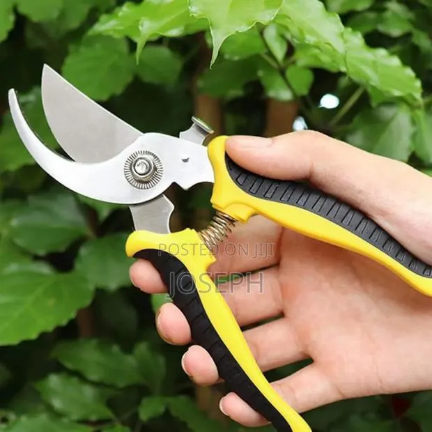 Garden Shears Prune · Photo 1