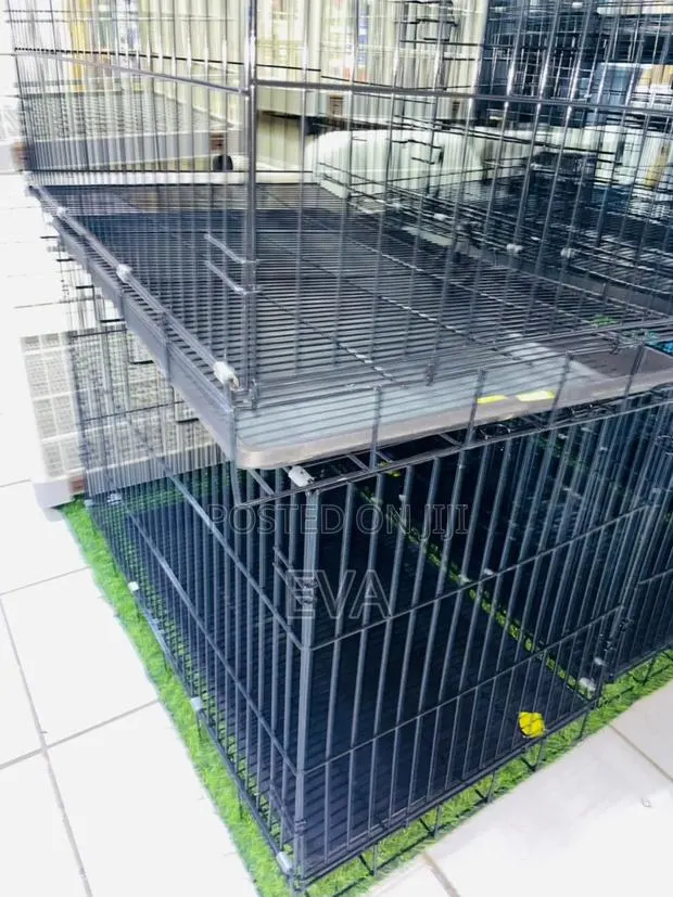 Big Dog Cage G · Photo 1