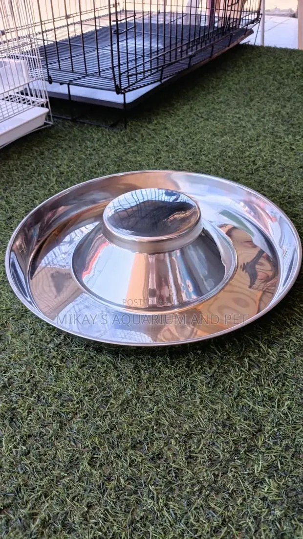 Flat Dog Bowls · Photo 1