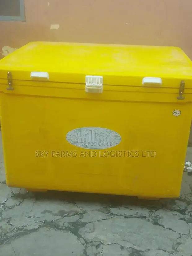 Commercial Ice Chest for Rent · Photo 1