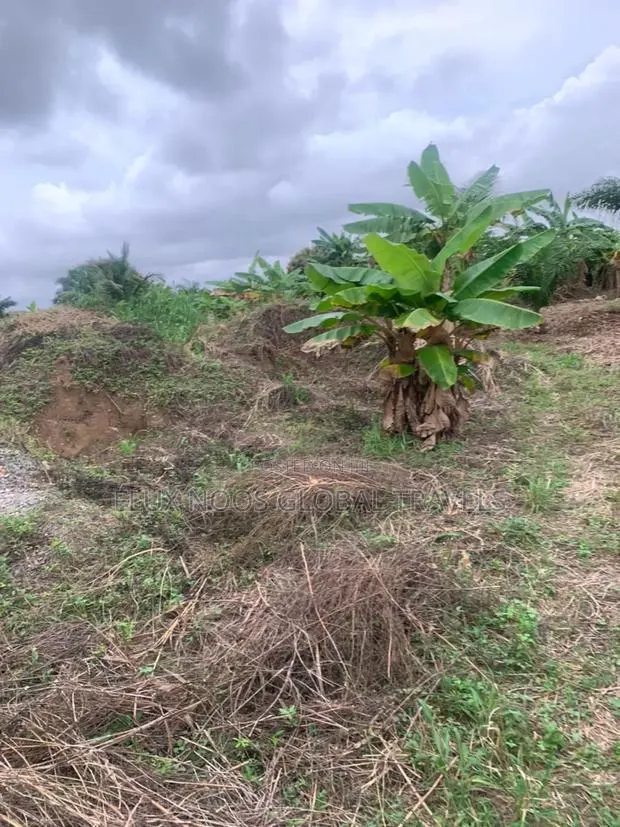 Registered and Walled Plots of Lands for Sale. · Photo 1