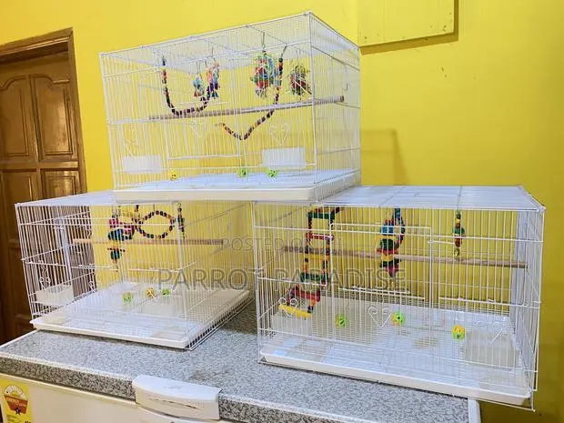 Parrot Cage With Toys · Photo 1