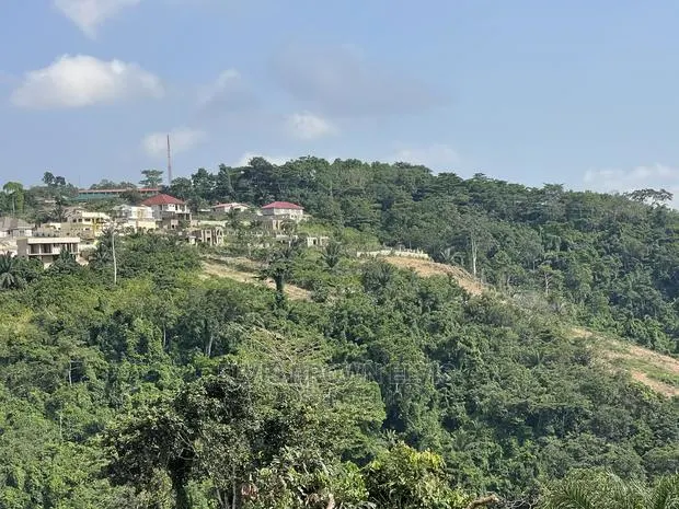 Genuine and Litigation Free Plot of Land for Sale at Abrui · Photo 1