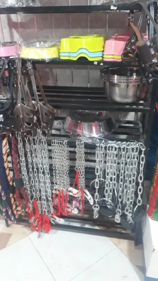 Dog Complete Chain Collar · Photo 1