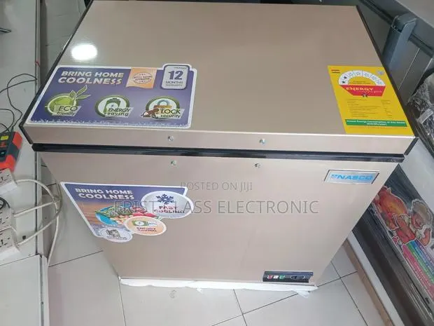 Freezer That Protects Freshness Daily. Nasco 200l Stores Success. · Photo 1