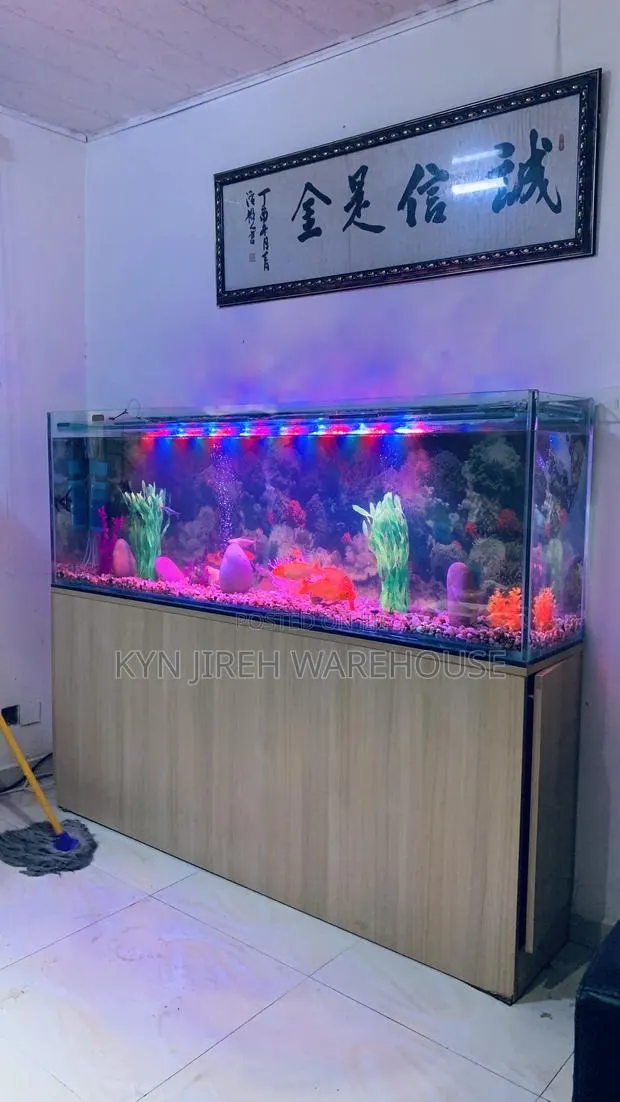 Chinese Aquarium With 15 Fishes · Photo 1