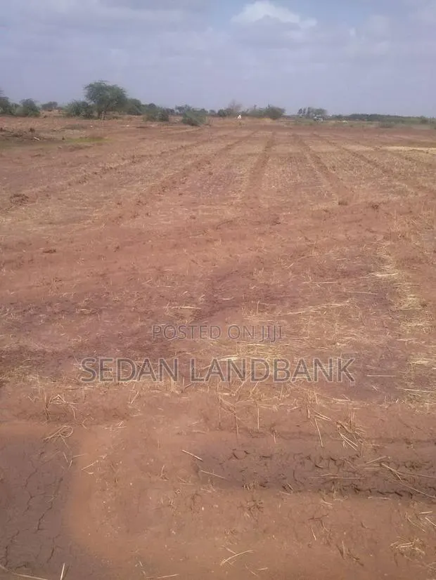 Affordable Land for Sale · Photo 1