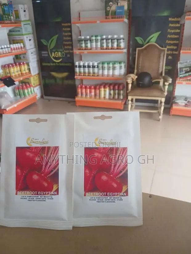 Beetroot Egyptian Seeds · Photo 1