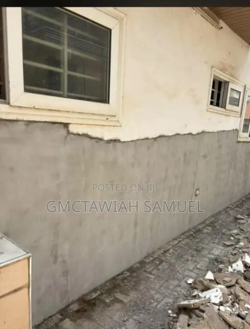 Professional Dampness Solution Guy · Photo 1