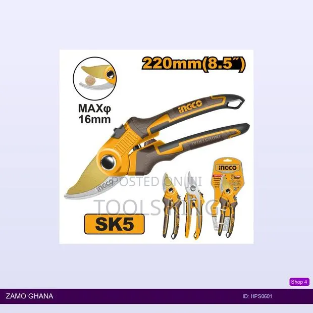 Pruning - Hps0601 · Photo 1