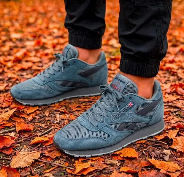 Reebok Classic All Ash · Photo 1