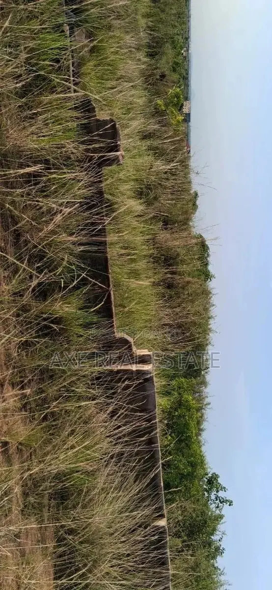 Free Demarcated Half Plot - Prampram · Photo 1