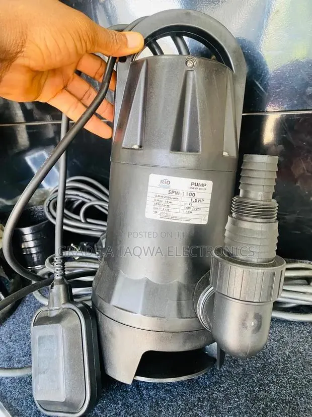 Continuous Submersion in Water, Rio 1.5Hp Garden Submersible Pump · Photo 1