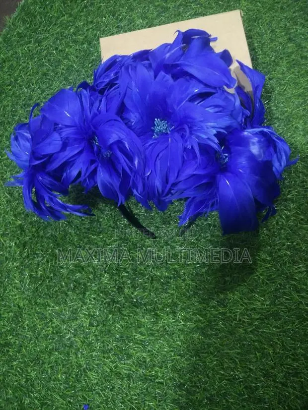 Fascinator · Photo 1