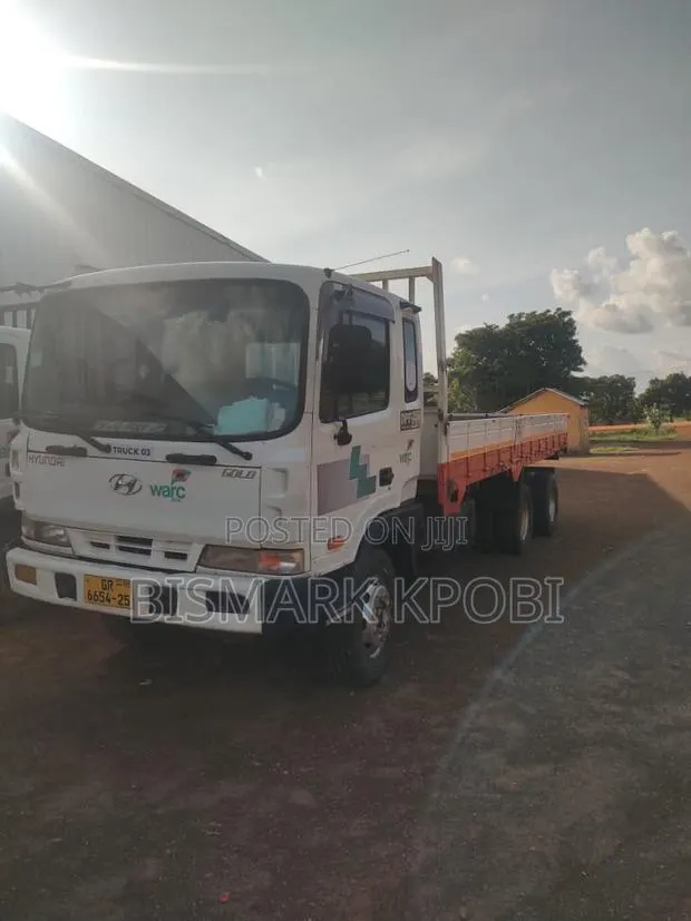 Hyundai Gold HD78 5 Ton Truck 2005 White · Photo 1