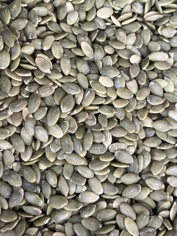 Pumpkin Seed · Photo 1