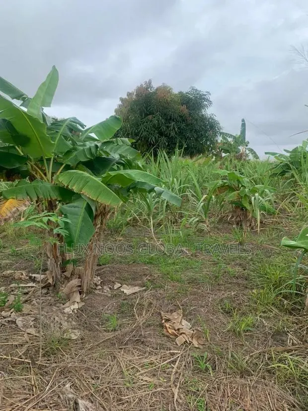 Fenced Genuine Plots of Lands for Sale. · Photo 1