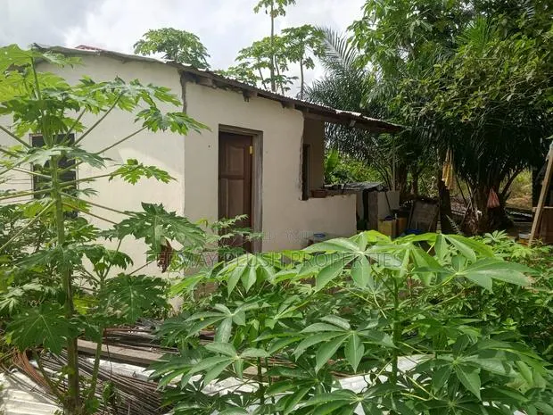 Factory for Sale in Kasoa · Photo 1