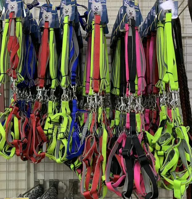 Dog Chain / Collar · Photo 1