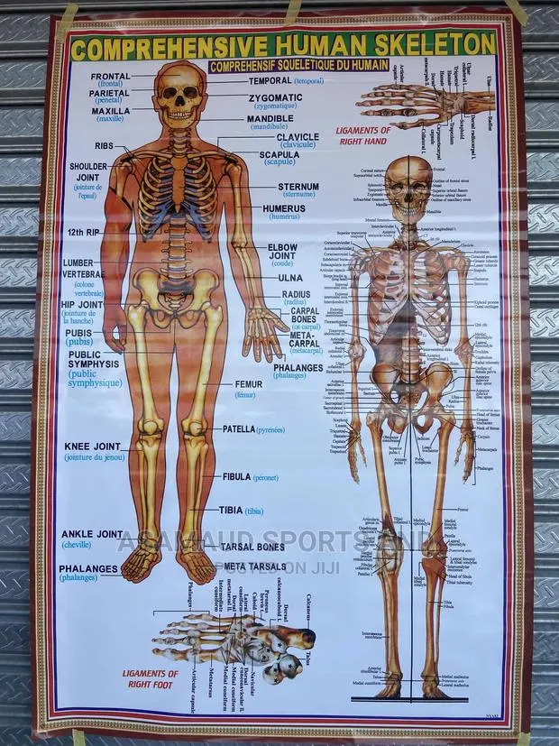 Original Learning Aid for Pre School Kids Available · Photo 1