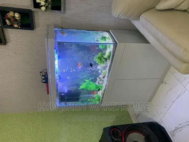 White Man Aquarium With 10 Fishes · Photo 1