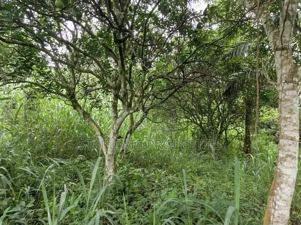 40 Plots for Sale at Ejisu Boankra Road · Photo 1