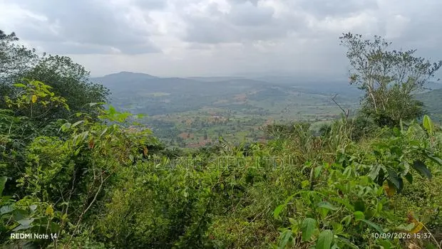 Registered Land in Aburi · Photo 1