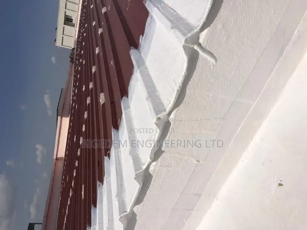 Premium Roof Leakage Specialist Expert · Photo 1