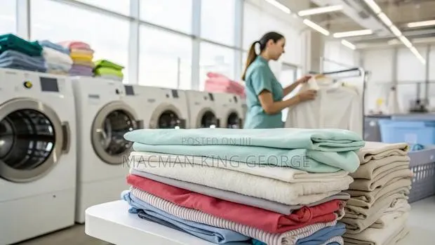 Executives Only Laundry and Dry Cleaners . · Photo 1