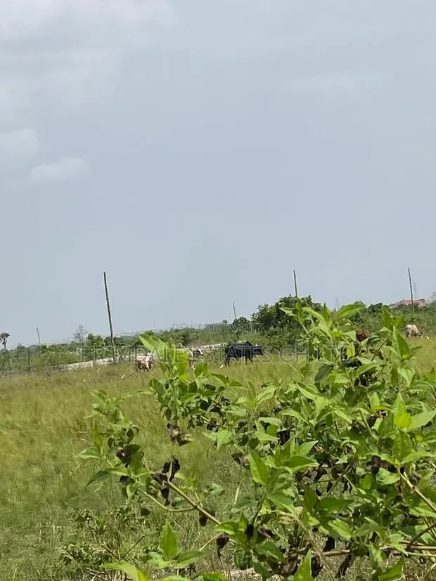 Titled Lands With Documents for Sale at Afienya · Photo 1