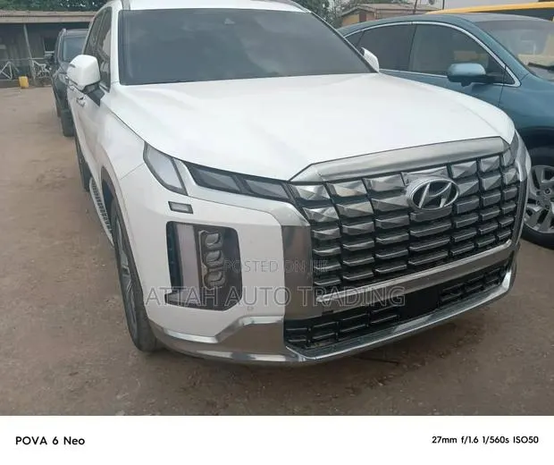 Hyundai Palisade 2019 White · Photo 1