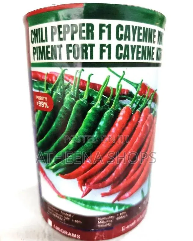 F1 Chilli Pepper Seeds ( 50 Grams) · Photo 1