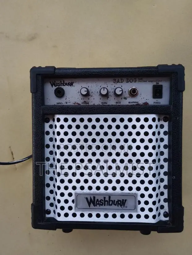 Washburn Bad Dog BD8 Professional Mini Bass Guitar Combo