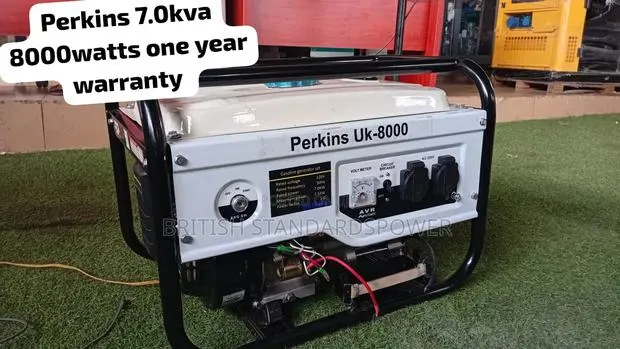Premium Perkins 8000w Generator – Ideal for Shops, Offices Homes · Photo 1