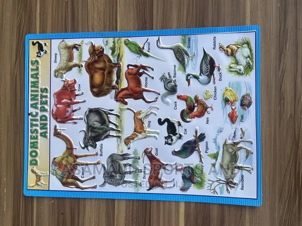 Original Kids Learning Material Knowing Animals Available · Photo 1