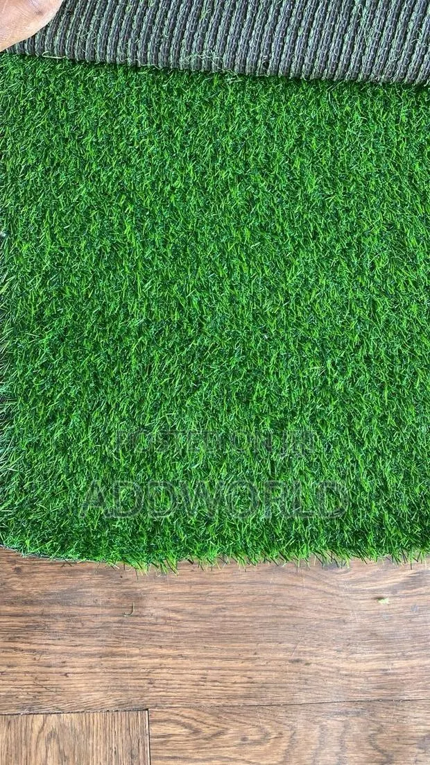 Normal Quality Grass Carpet · Photo 4