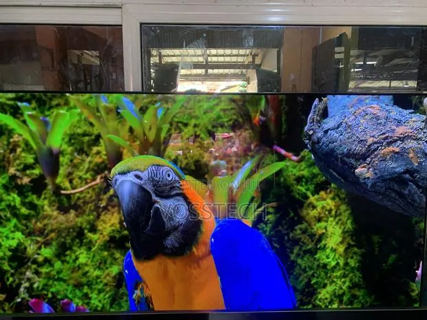 77" Samsung S90d 4k Smart Oled TV · Photo 1