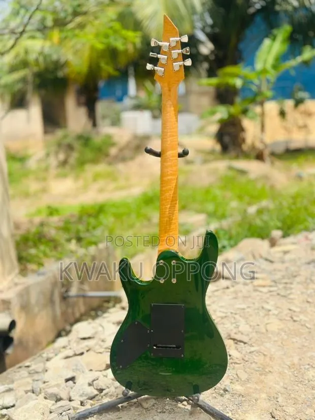 Dimavery Custom Guitar · Photo 1