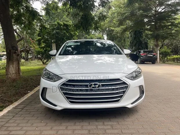 Hyundai Elantra 2017 White · Photo 1