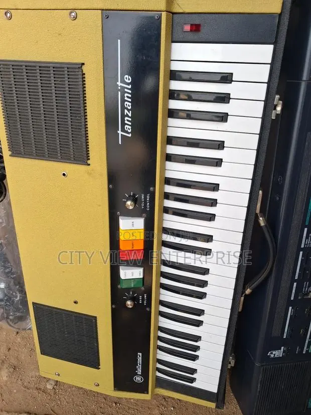 Electric Organ · Photo 1
