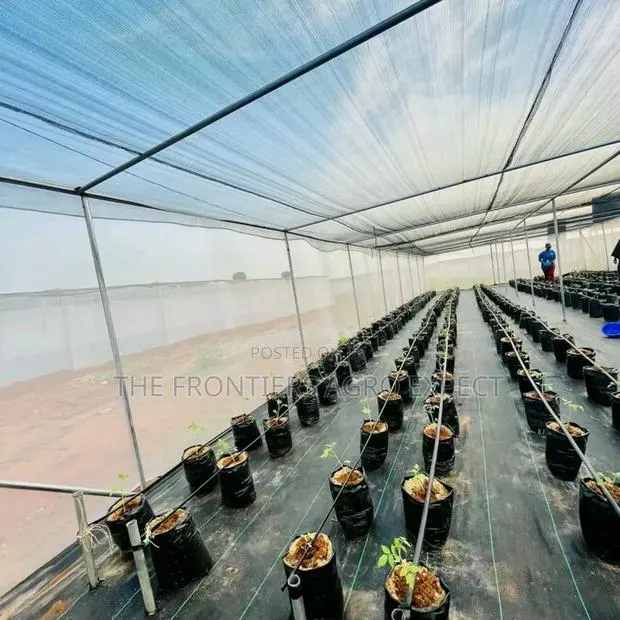 Commercial Greenhouse · Photo 1
