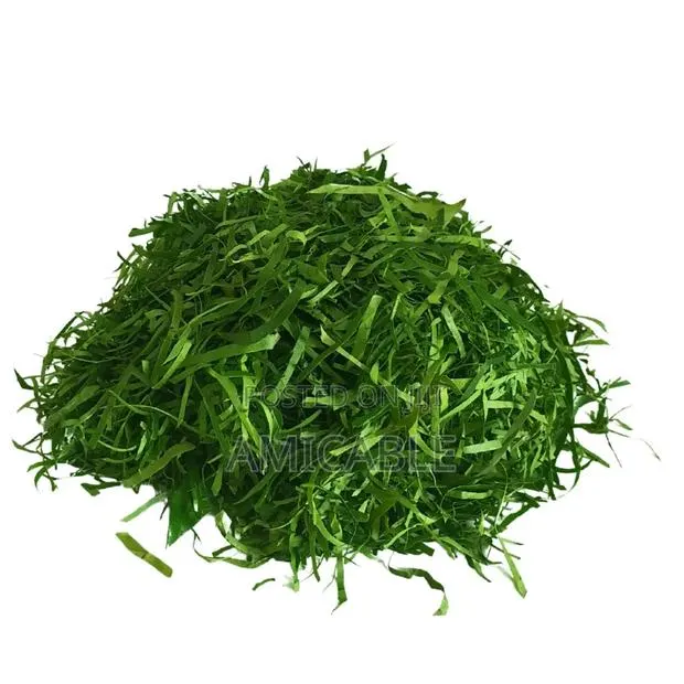 Fresh Afang (Ukazi) Leaf · Photo 1