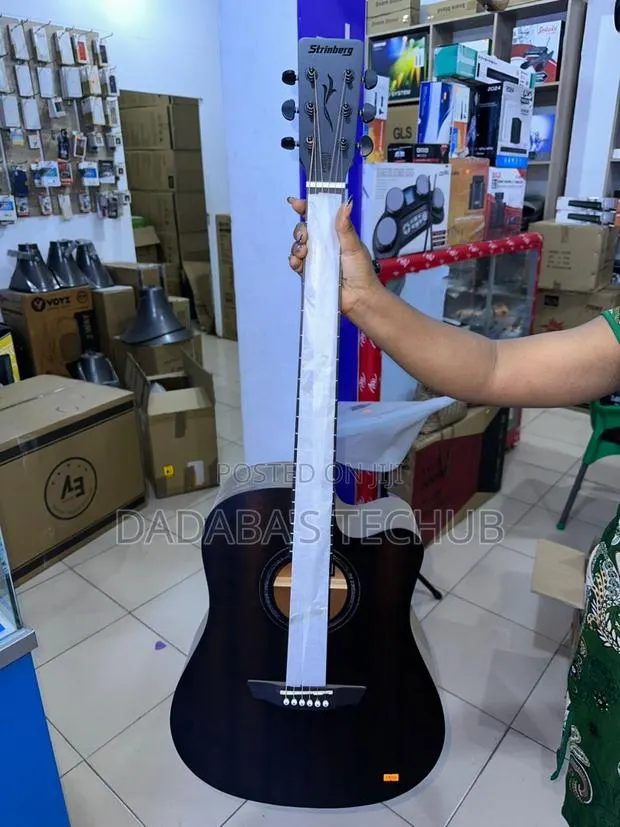 Stringberg Semi-Acoustic Guitar · Photo 1