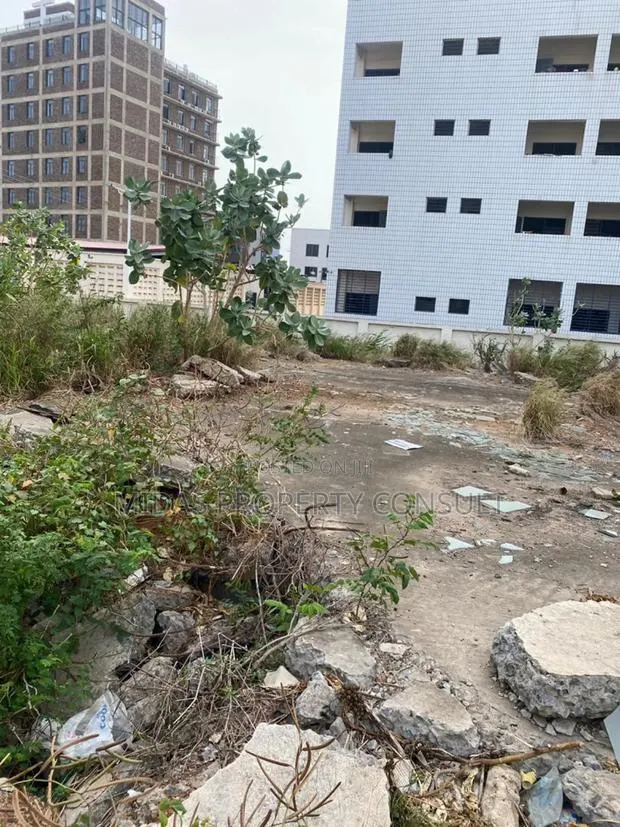 Titled 70x100ft Plot of Land for UPSA Madina · Photo 1