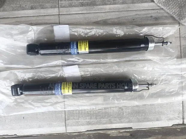 Escape 2013-18 Back Shocks · Photo 1