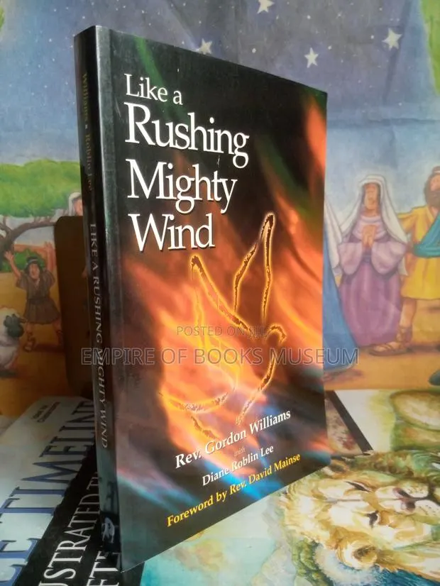 Like a Rushing Mighty Wind Paperback · Photo 1